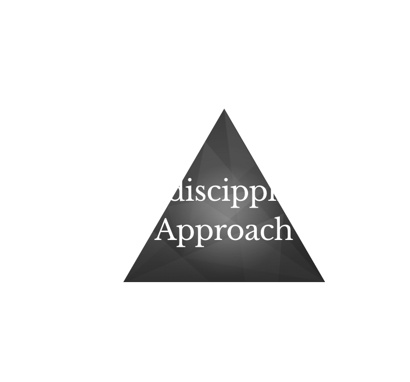 Interdiscipplinary Approach